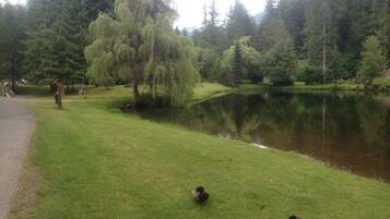 Enceinte de lâhĂ©bergement