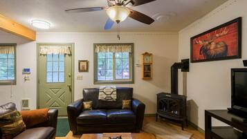 Televisión, chimenea, reproductor de DVD y libros