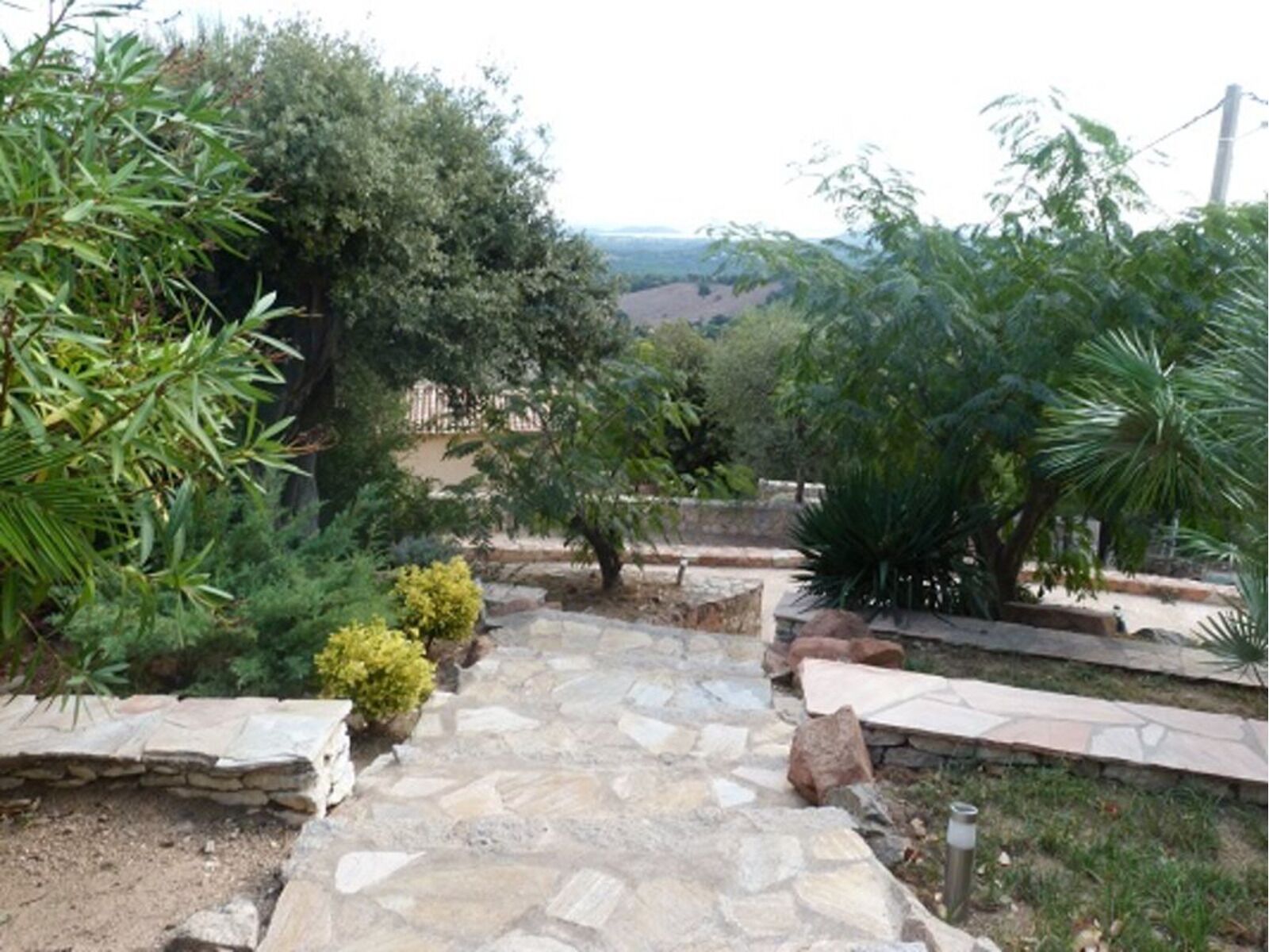 A stone pathway leading through a garden with various plants and trees.