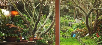 Casa das 2 Marias is a traditional Azorean house located in the center of Furnas