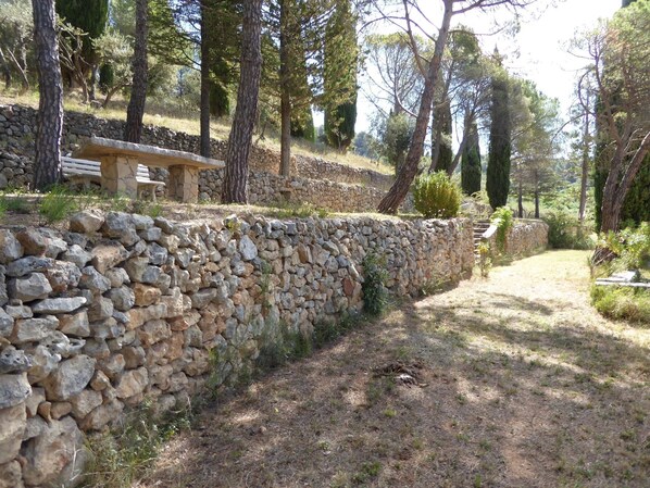 Un muro de piedra con un banco y un sendero de piedra en una zona boscosa.