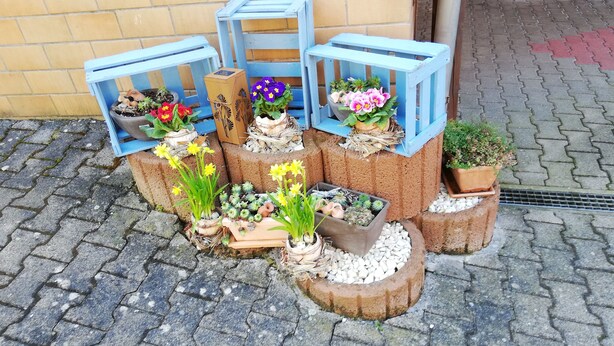 A garden display with various potted plants and flowers arranged on wooden stands and tree stumps.