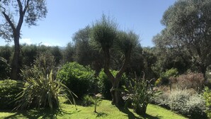 A well-maintained garden with various plants and trees, a clear sky, and a grassy area.