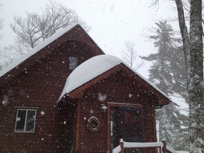 Exterior - Waterfront Cedar Cabin Complete with Sauna (Negaunee)