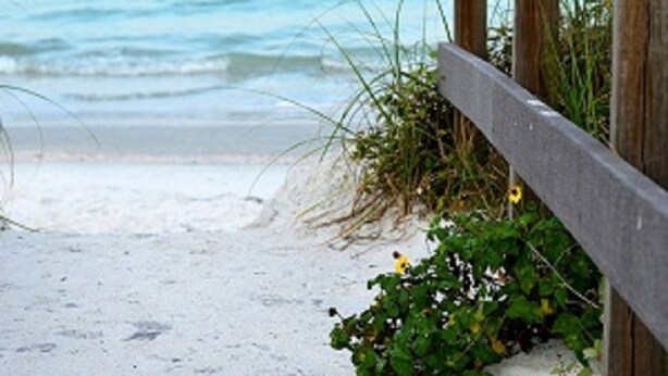 A wooden walkway leading to a sandy beach with the ocean in the background.