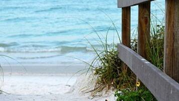 Trên bãi biển, cát trắng, ghế dài tắm nắng, dù trên bãi biển