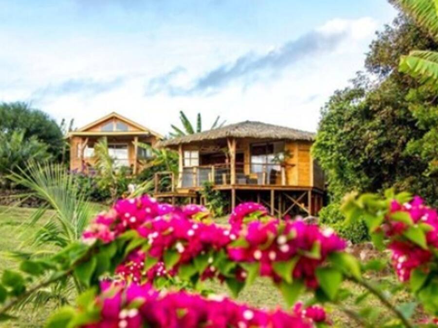 Uma casa de madeira com telhado de colmo, cercada por vegetação exuberante e vibrantes flores cor-de-rosa.
