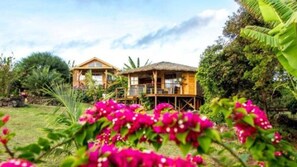 Garden - Kona Koa Lodge (Hanga Roa)