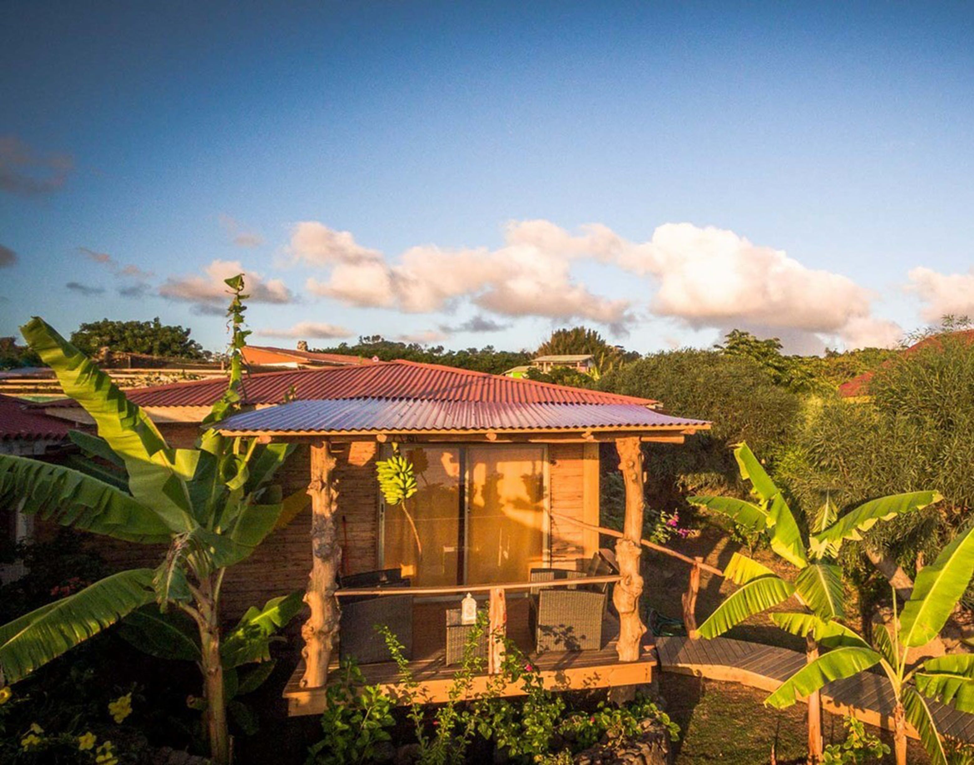 A wooden house with a red roof, surrounded by banana plants and a clear sky.