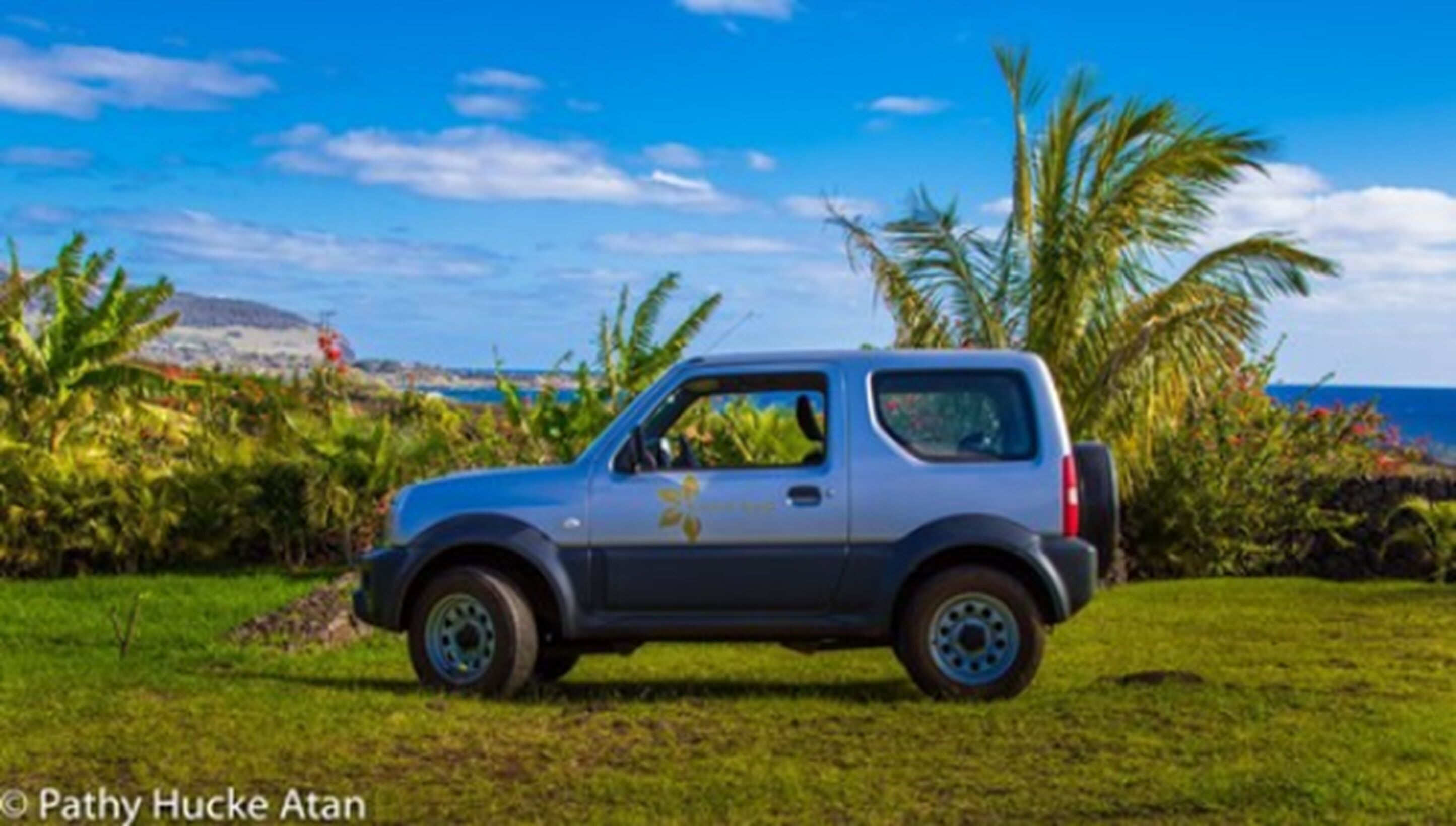 A compact car parked on a grassy area with a clear blue sky and palm trees in the background.