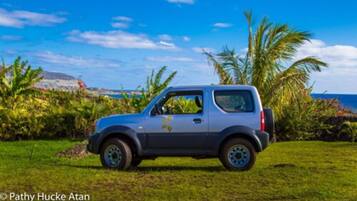 A compact car parked on a grassy area with a clear blue sky and palm trees in the background.