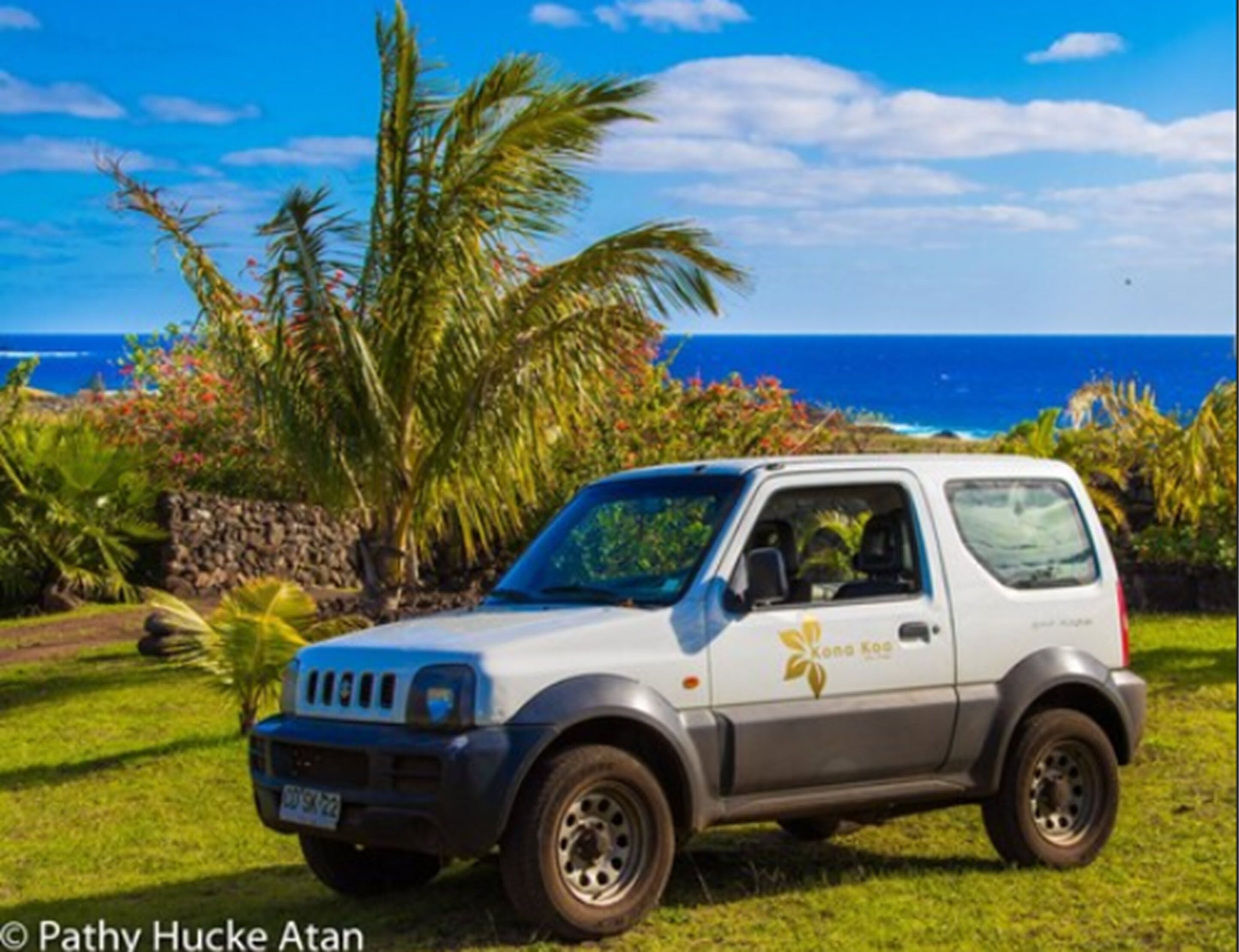 A compact car parked on a grassy area with a view of the ocean and palm trees in the background.