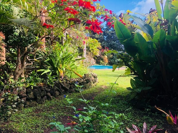 Property grounds - Hotel Taina Rapa Nui (Hanga Roa)