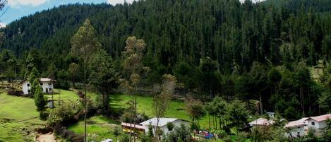 A rural village with houses surrounded by dense forest and a mountain in the background.