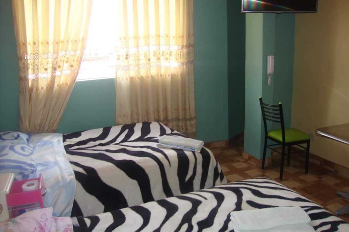 Twin Room