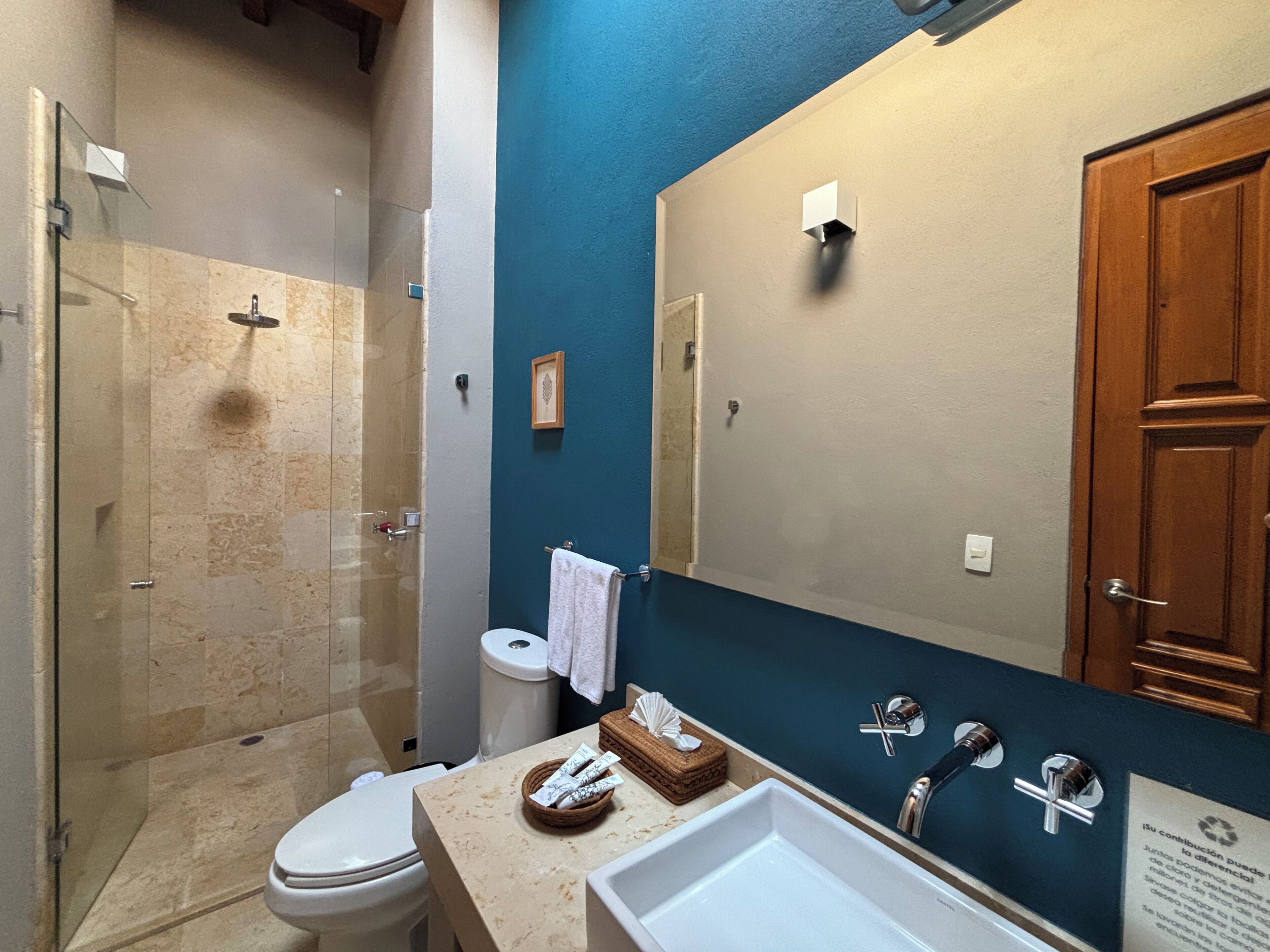 A bathroom with a glass shower enclosure, a toilet, a sink with a mirror, and a wooden door.