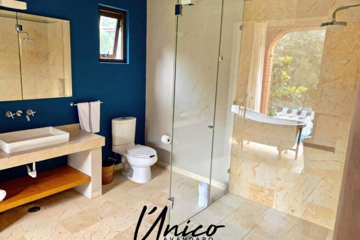 deluxe studio suite, 1 king bed | bathroom | shower, free toiletries, hair dryer, towels