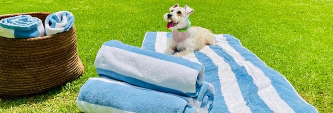 A dog on a blue and white striped towel on grass with a basket of rolled towels.