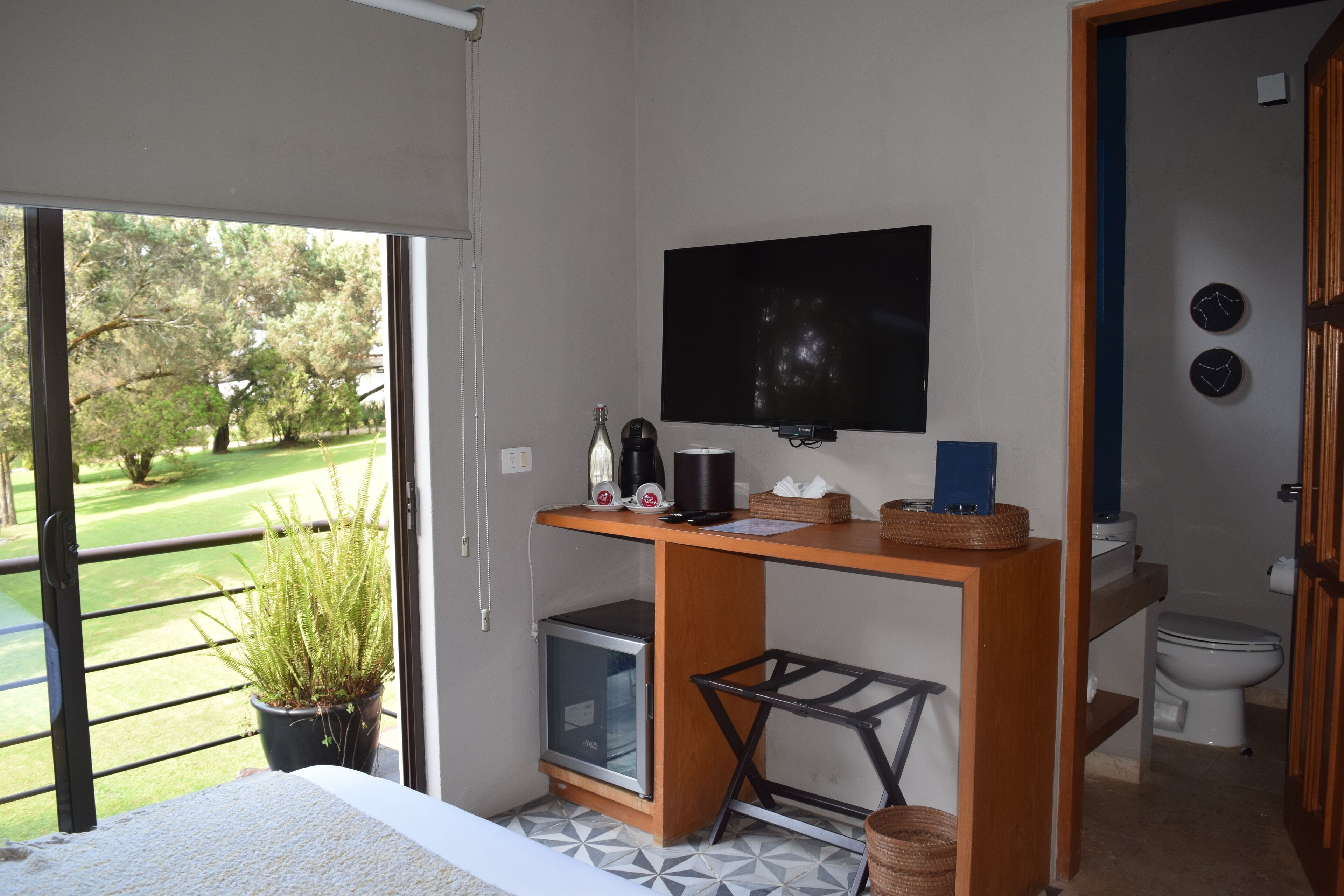 Una habitación con una cama, un televisor en la pared, una mesita con una planta, un refrigerador pequeño y un inodoro.
