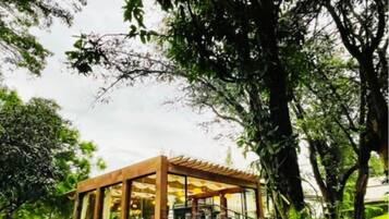 Bar (en la propiedad)