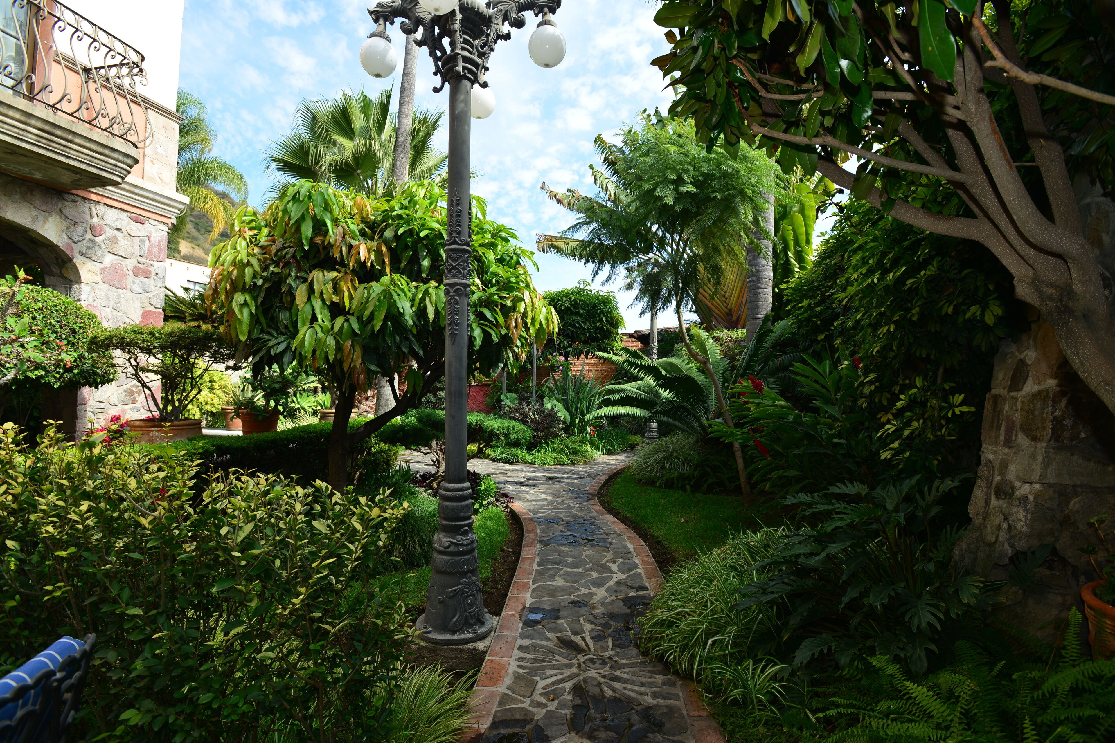 sanctuary garden suite | view from room