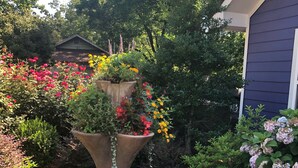 Un jardín con diversas plantas y flores, incluyendo un letrero que dice