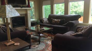 TV, fireplace, toys, books