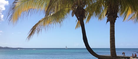 Playa en los alrededores, camastros y toallas de playa 