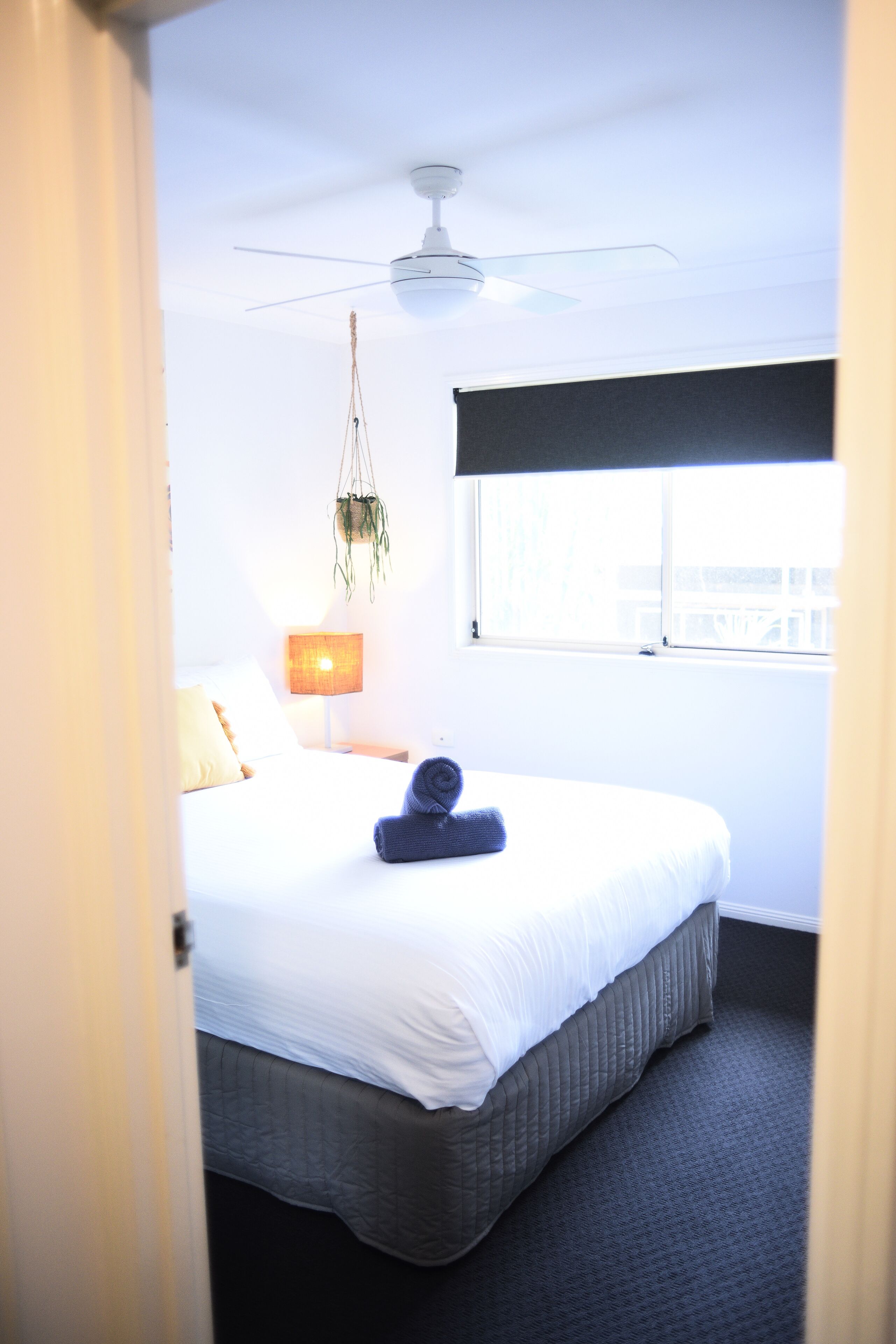 A hotel room with a bed, a ceiling fan, a window with a view, and a hanging plant.