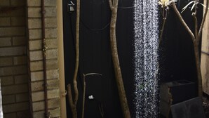 A shower area with a black wall, a brick wall on the left, and a wooden fence in the background.