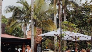 An outdoor seating area with tables and chairs, surrounded by palm trees and greenery.