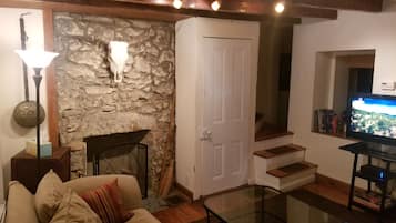 TV, fireplace, books