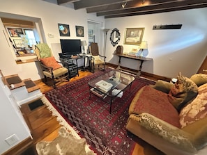 TV, fireplace, books