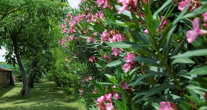 Ihana Huvila, Jossa on Wifi, Ilmastointi, oma Uima-allas, TV, Terassi, Lemmikkiel��imet Sallittu ja Pysäköinti