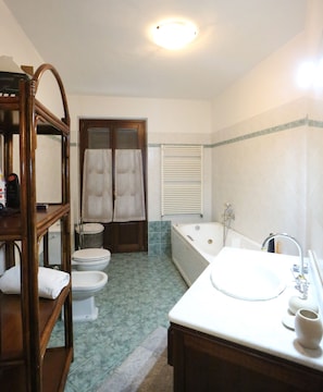 Combined shower/tub, jetted tub, hair dryer, bidet