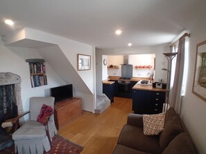 Smart TV, fireplace, books, music library