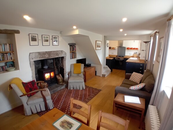 Smart TV, fireplace, books, music library