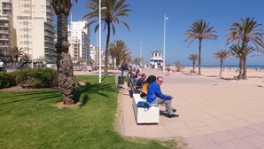 Una passeggiata lastricata con palme, panchine e vista sulla spiaggia.