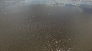 Une plage avec un ciel dégagé et la lumière du soleil se reflétant sur le sable mouillé.