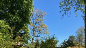 Un chemin de gravier bordé d’une végétation luxuriante et d’arbres, qui mène à une structure en bois.