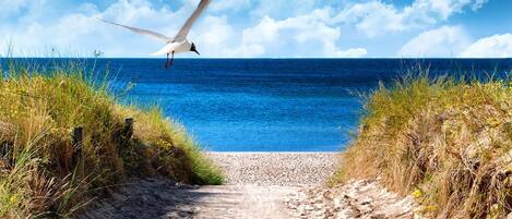 Beach nearby, sun loungers