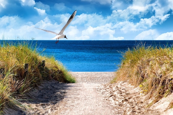 Plage à proximité, chaises longues