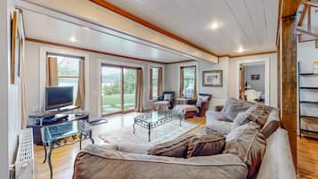 Télévision, cheminée, lecteur de DVD, chaßne hi-fi