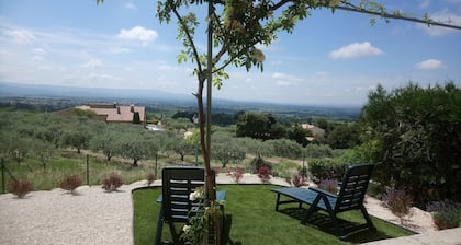 Vaucluse- Pied du Ventoux- Le Barroux- Gravel house