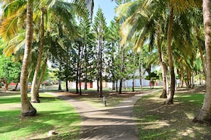Área da propriedade