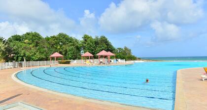 Charming and relaxing studio, guaranteed Zen atmosphere - Studio Bel 'Emeraude