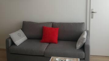 Télévision, livres