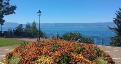 Zweizimmerwohnung in Thonon les Bains