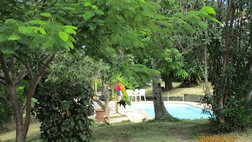 Piscina a l'aire lliure