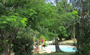 Una piscina al aire libre